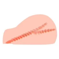 Kokos Juliana Masturbator -Masturbators winkel Kokos Juliana Masturbator 5 3b5ed5ad e479 4e63 9632 1fc64664af9d