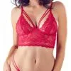 Cottelli Collection Sexy Kanten BH Set - Rood -Masturbators winkel Sexy Kanten BH Set rood db779c95 1f2a 48d6 a449 5a4d3520f4ec
